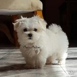 foto_10 (1)