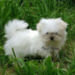 foto_11 (1)