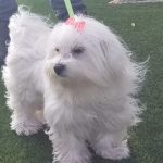 foto_15