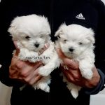 foto_5 (1)